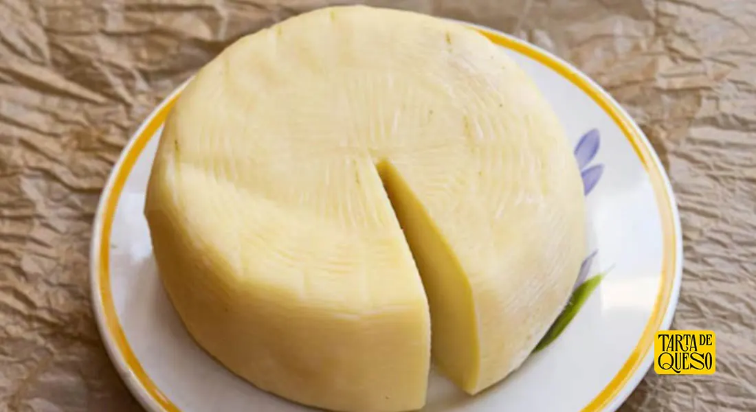 queso manchego mexicano